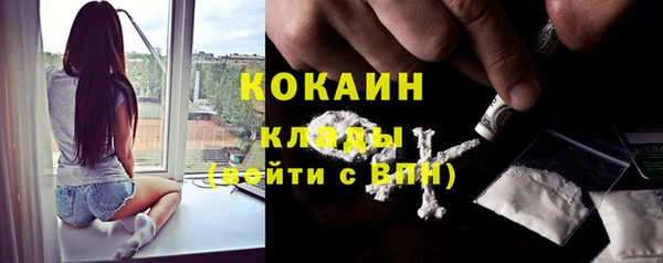 твердый Аркадак