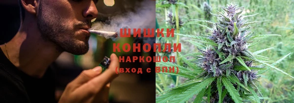 твердый Аркадак